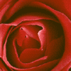 Midnight Music Medina Ohio DJ - Love